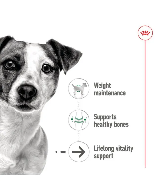 Royal Canin Mini Ageing 8+ Senior Wet Small Dog Food Cans In Loaf 195g - Image 2