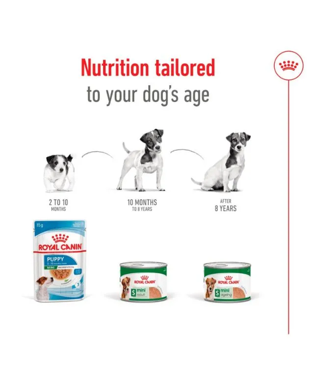 Royal Canin Mini Ageing 8+ Senior Wet Small Dog Food Cans In Loaf 195g - Image 4