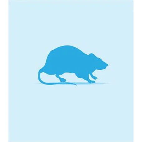 Rat Frozen Large (251-355g)
