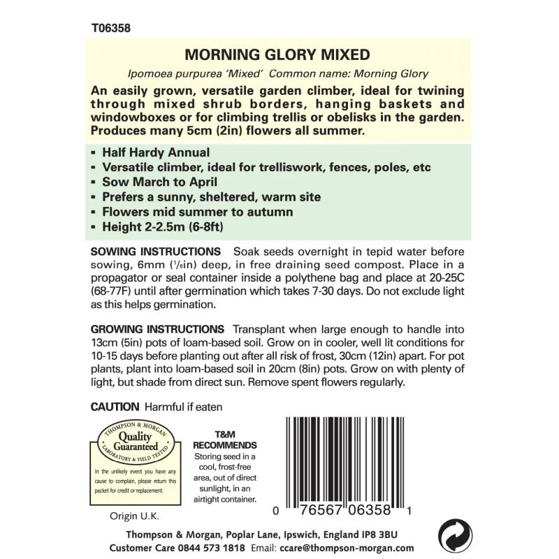 Morning Glory Mix Colours - Image 2