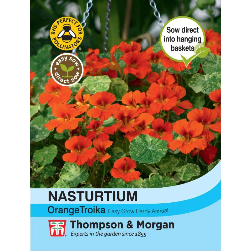 Nasturtium Orange Troika