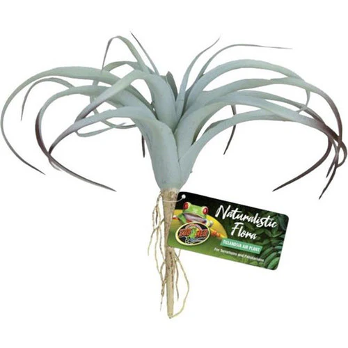 ZooMed Naturalistic Flora Tillandsia Air Plant