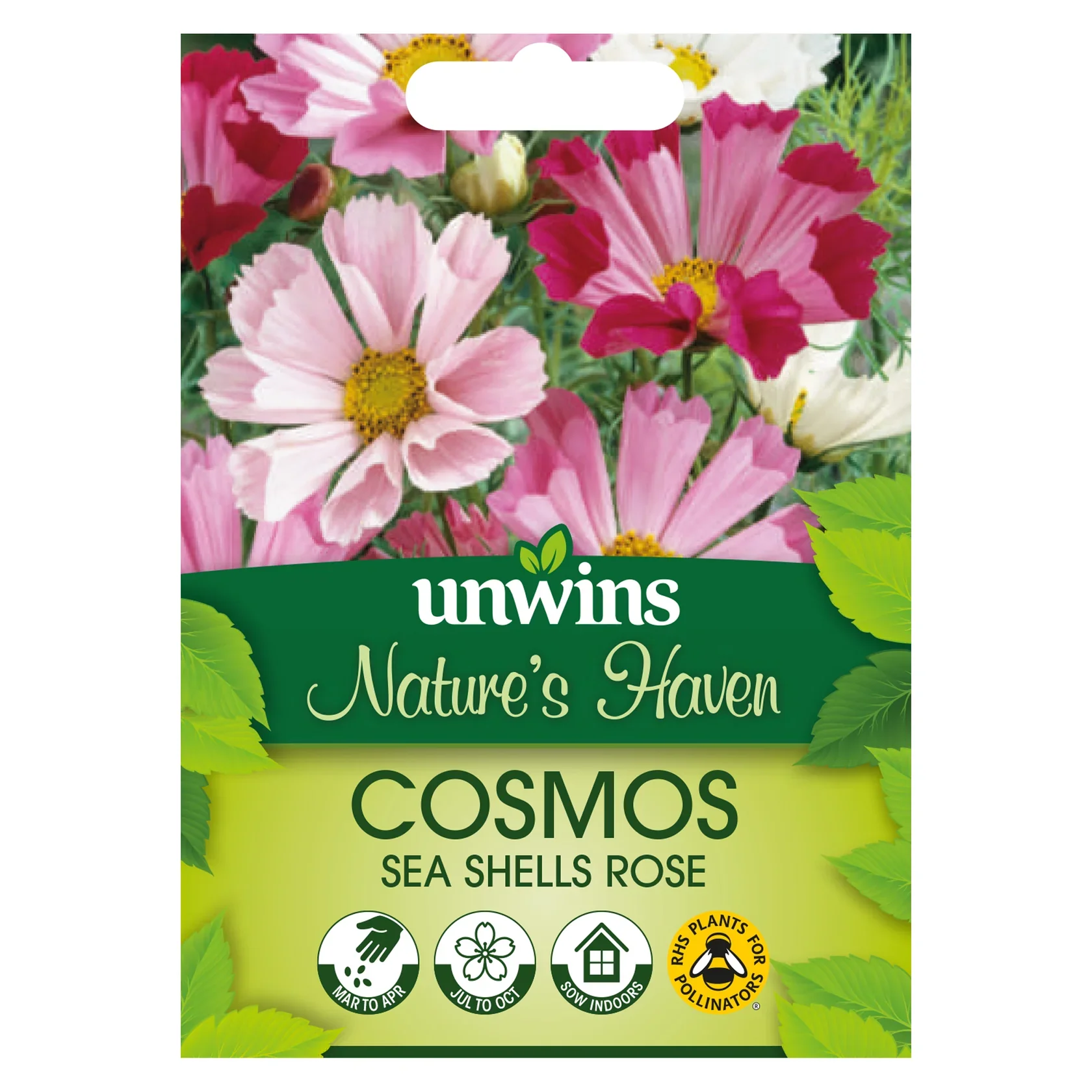 Natures Haven Cosmos Sea Shells Rose