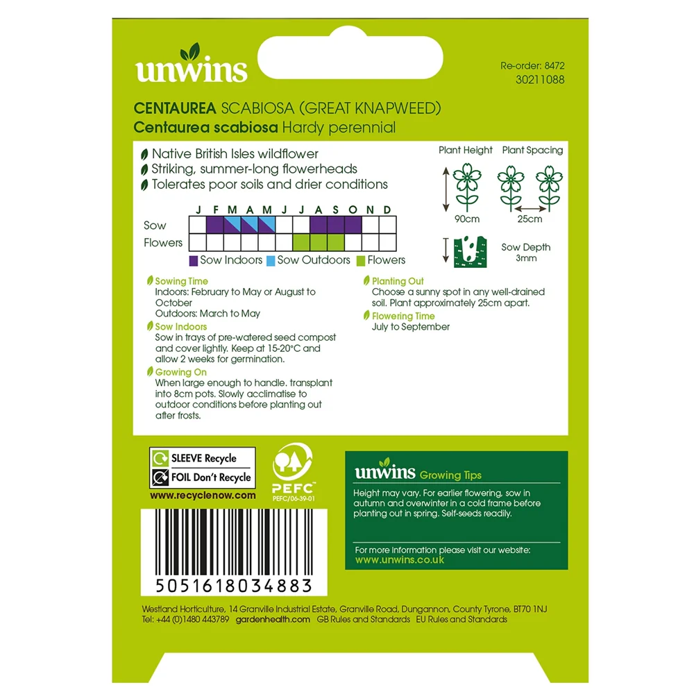 Natures Haven Great Knapweed - Image 2
