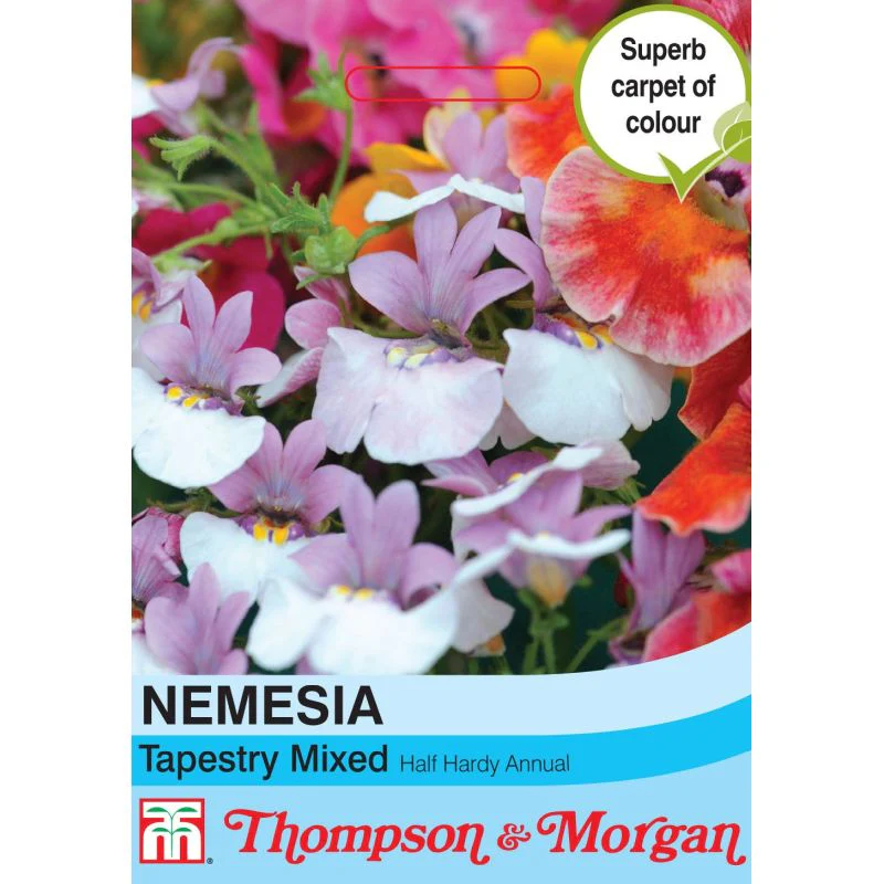 Nemesia Tapestry Mix