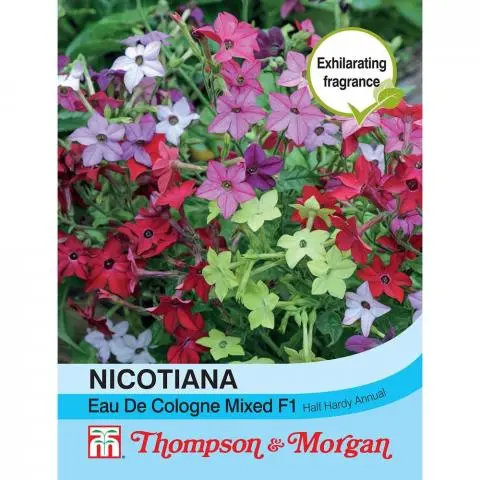 Nicotiana Eau De Cologne