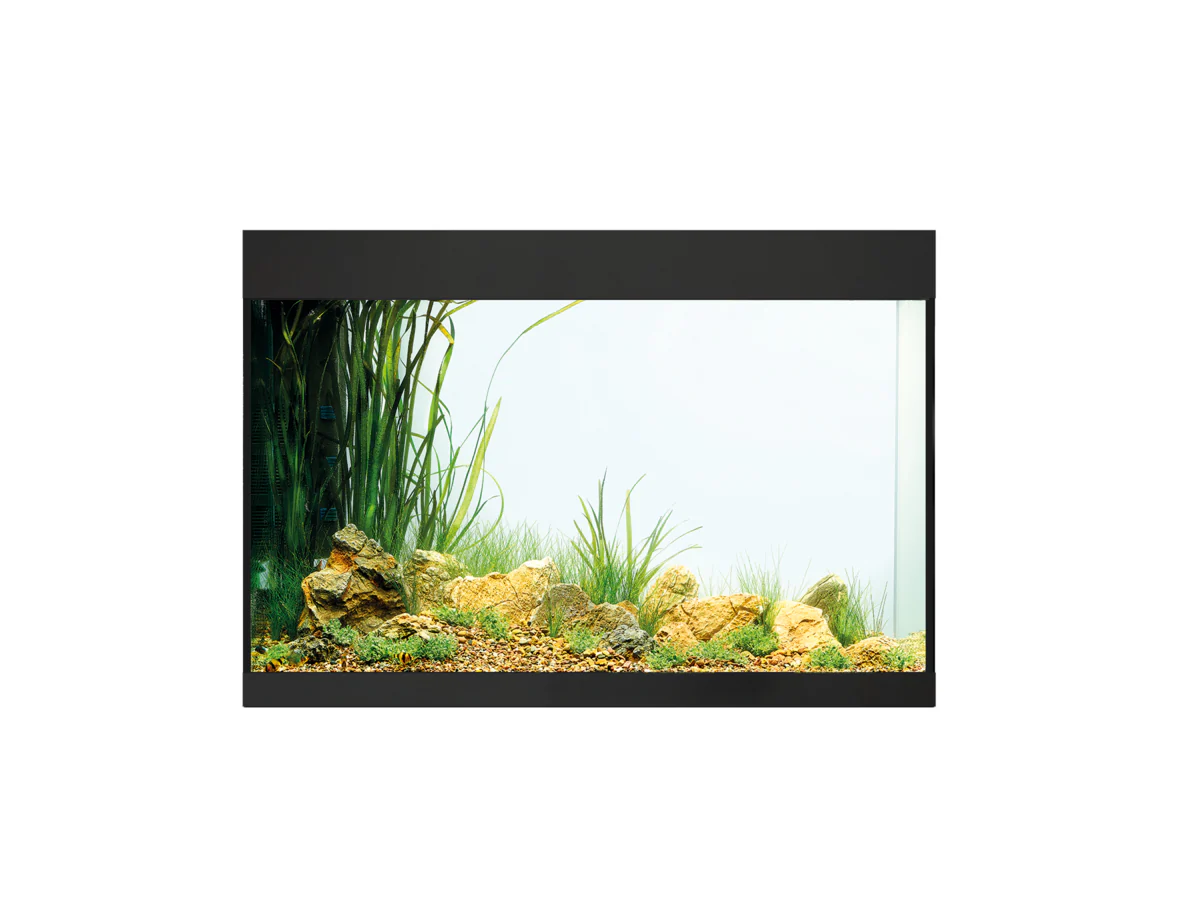 Oase Styleline 125 Aquarium Black - Image 2