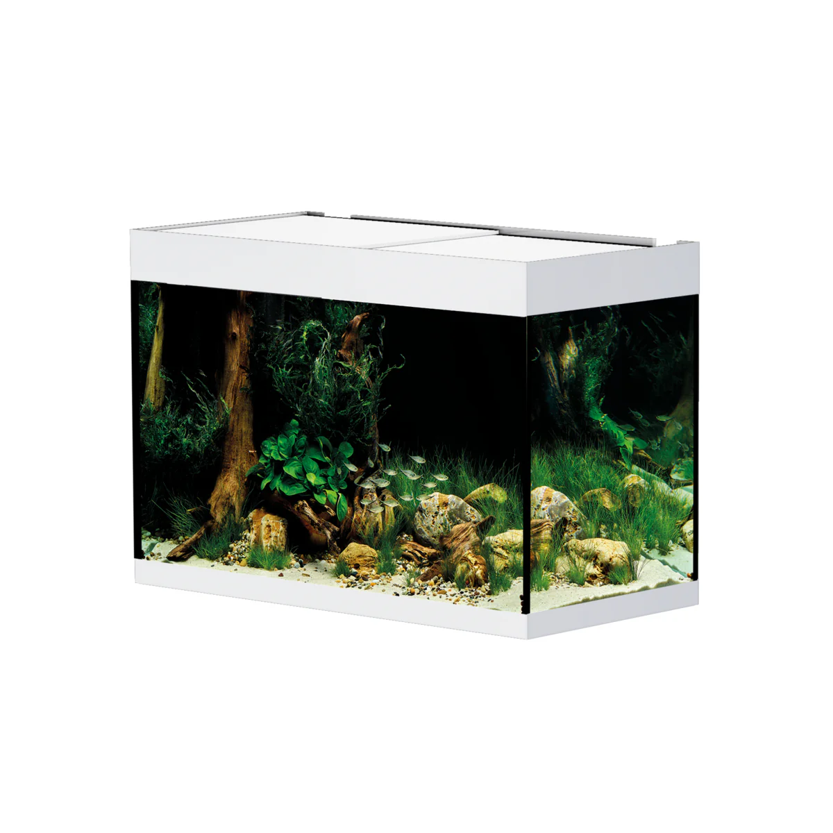 Oase Styleline 125 Aquarium White - Image 5