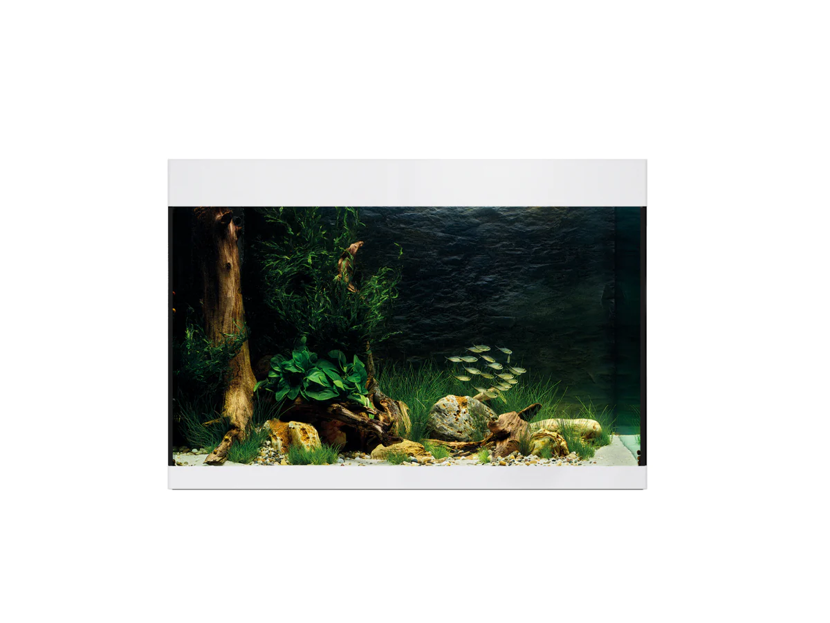 Oase Styleline 125 Aquarium White - Image 2