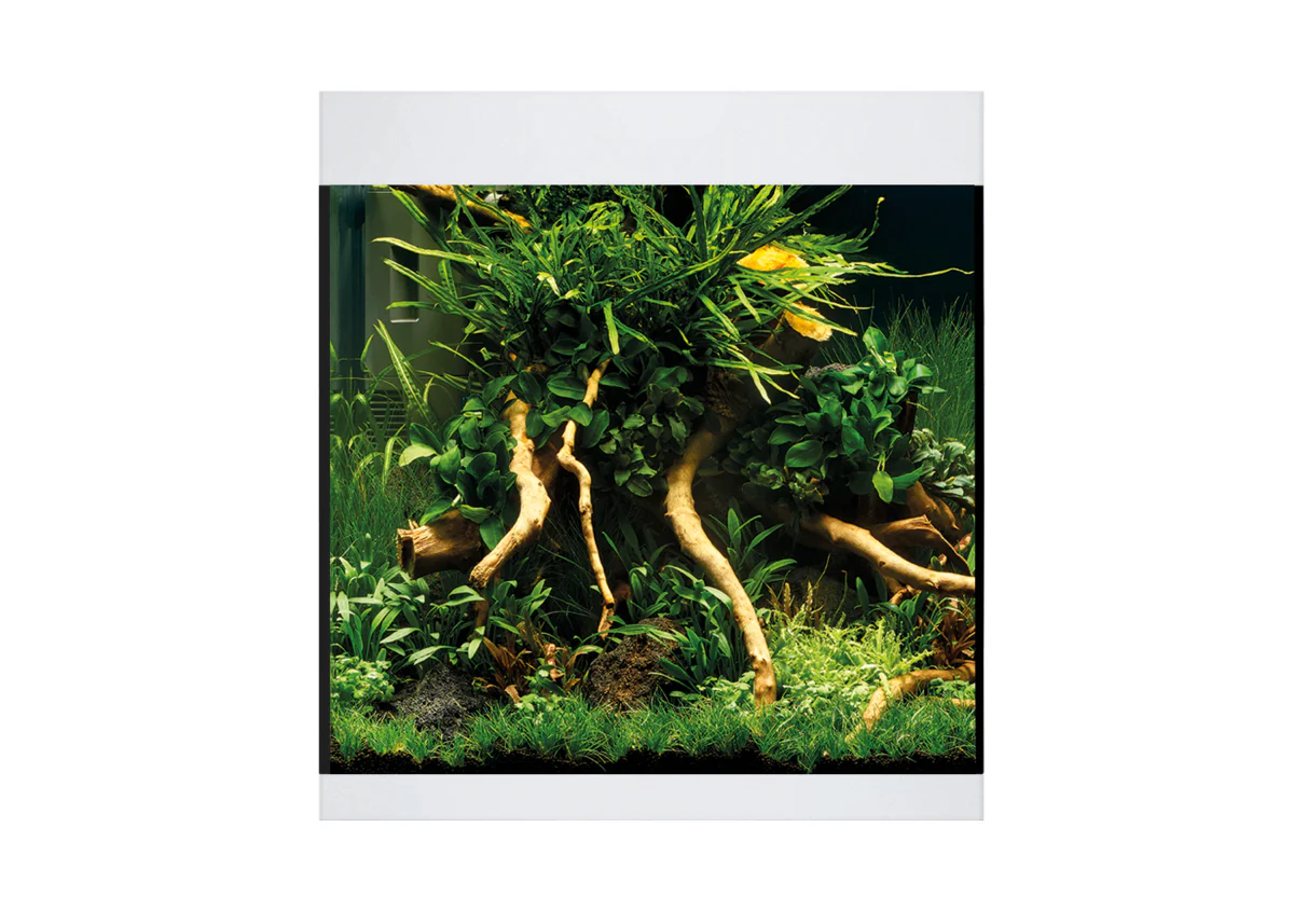 Oase Styleline 85 Aquarium White - Image 2