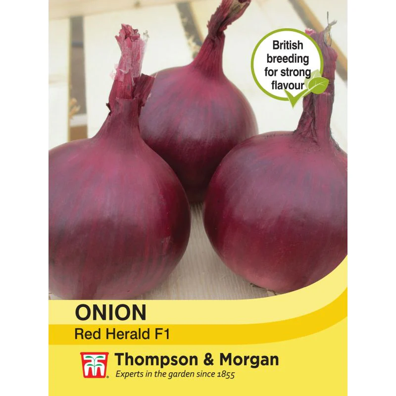 Onion R. Herald