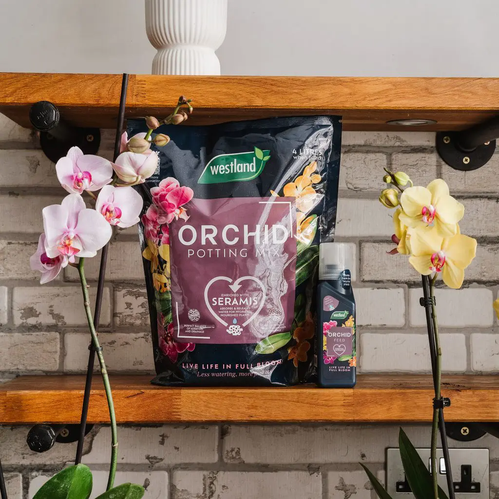 Westland Orchid Potting Mix 4 Litre - Image 4