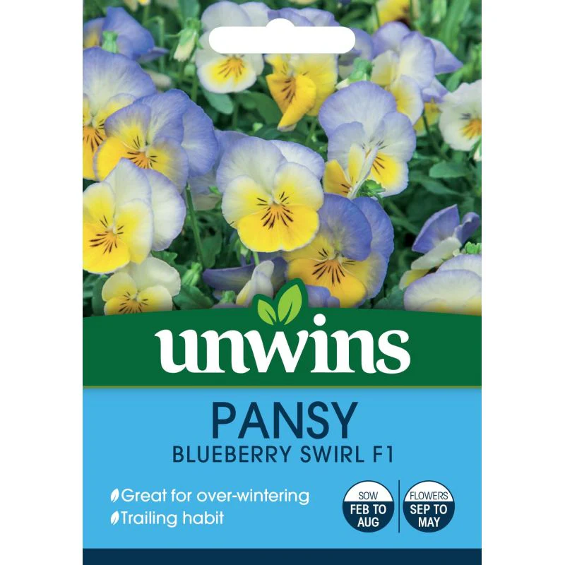 Pansy Blueberry Swirl