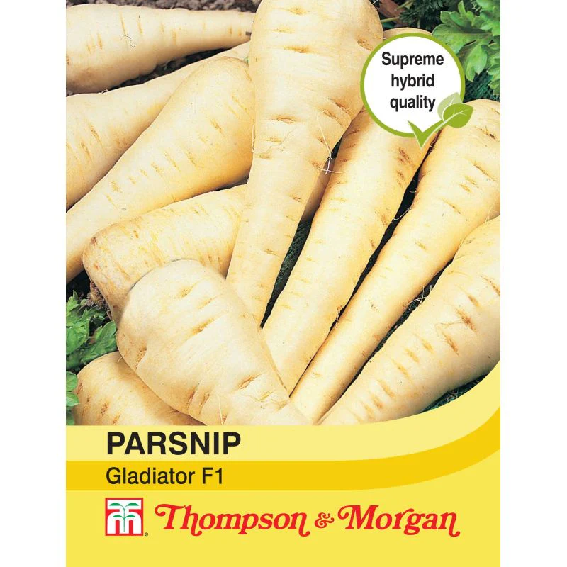 Parsnip Gladiator