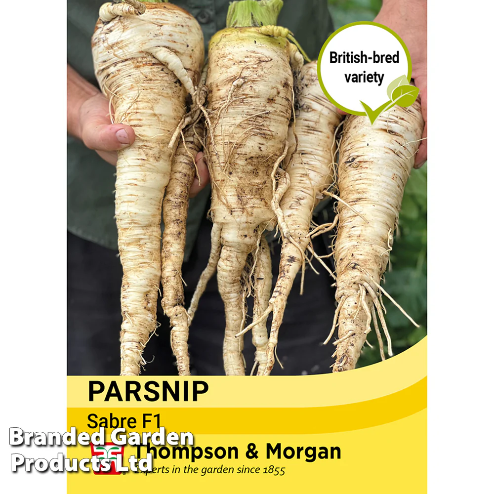 Parsnip 'Sabre'