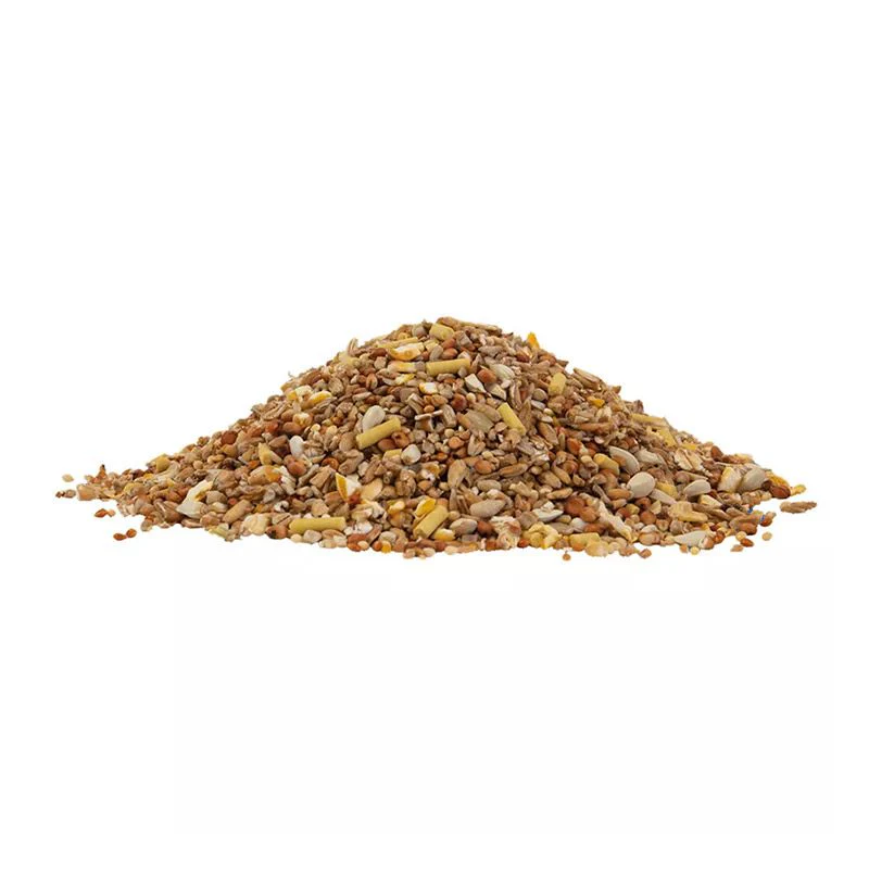 PK Complete Seed Mix Paper bag (1.7 kg) - Image 2