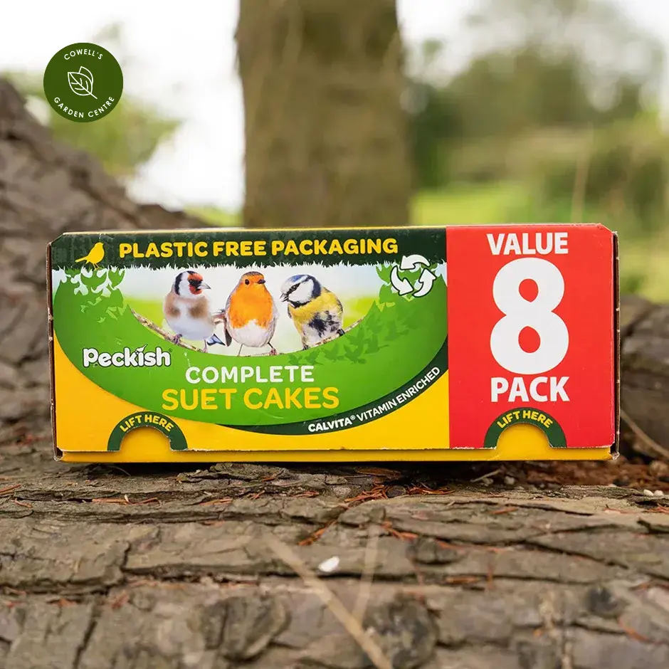 Peckish Complete Suet Cake (Pack of 8) - Image 2