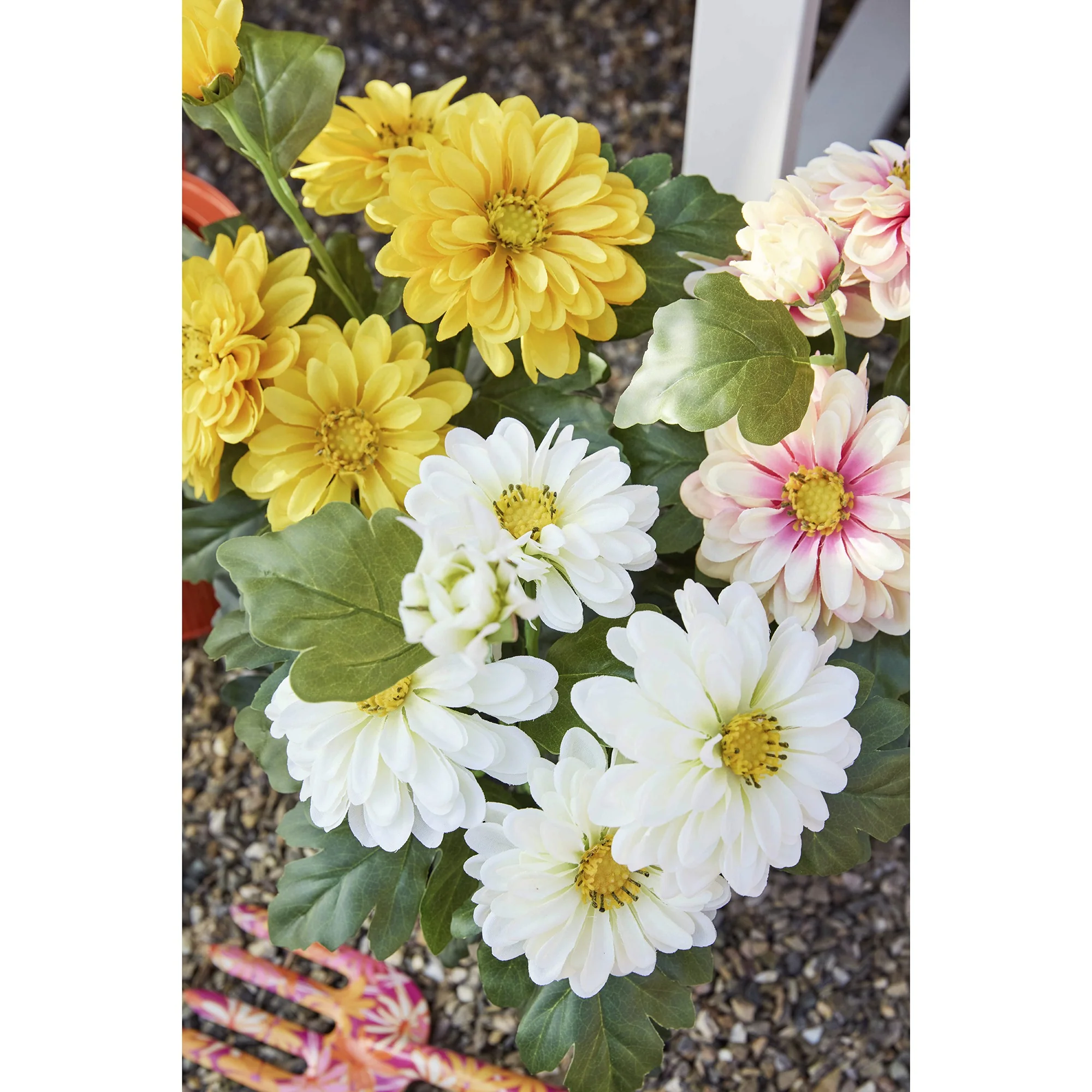 Plant zinnia in pot - sold separately - Image 2