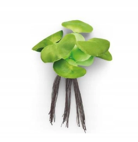Oase Pontec Pondo Floating Hyacinth 14cm - Image 4
