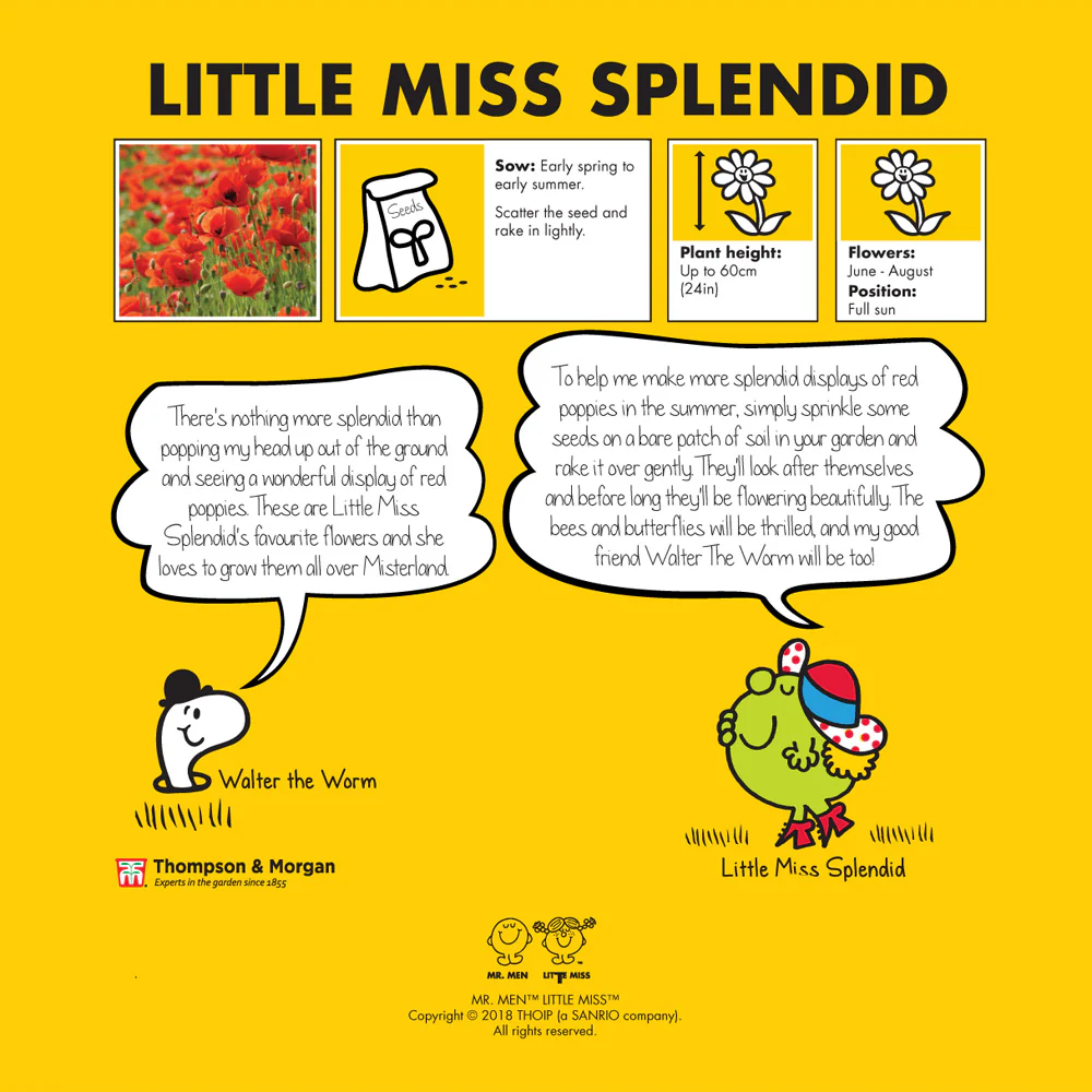 Mr. Men™ Little Miss™ - Little Miss Splendid - Poppy 'Flanders' - Image 2