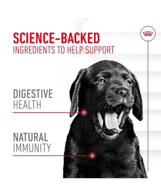 Royal Canin Puppy Supplement for Immunity and Digestion Soft Chews 100g - Image 2