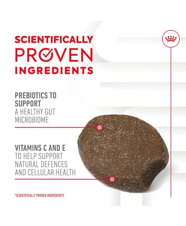 Royal Canin Puppy Supplement for Immunity and Digestion Soft Chews 100g - Image 3
