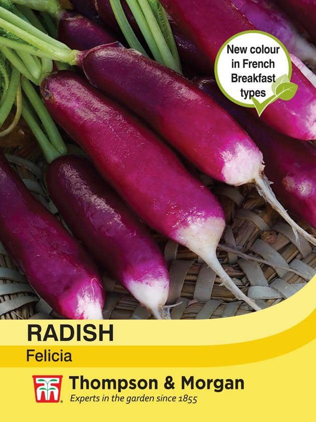 Radish Felicia