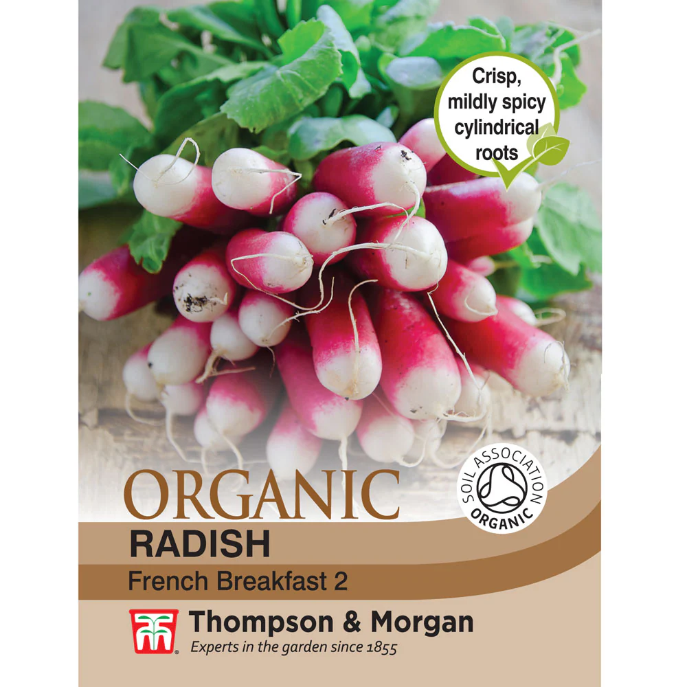 Radish French Breakfast 2 Organic