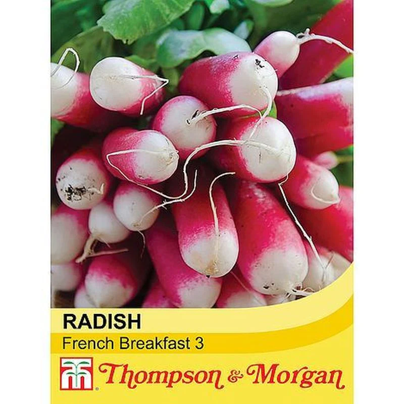 Radish French Breakfast 3 - Image 3