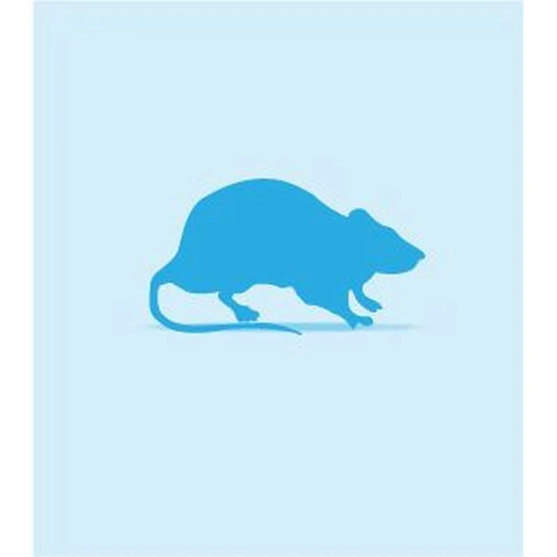 Rat Frozen Pup (10-15g)