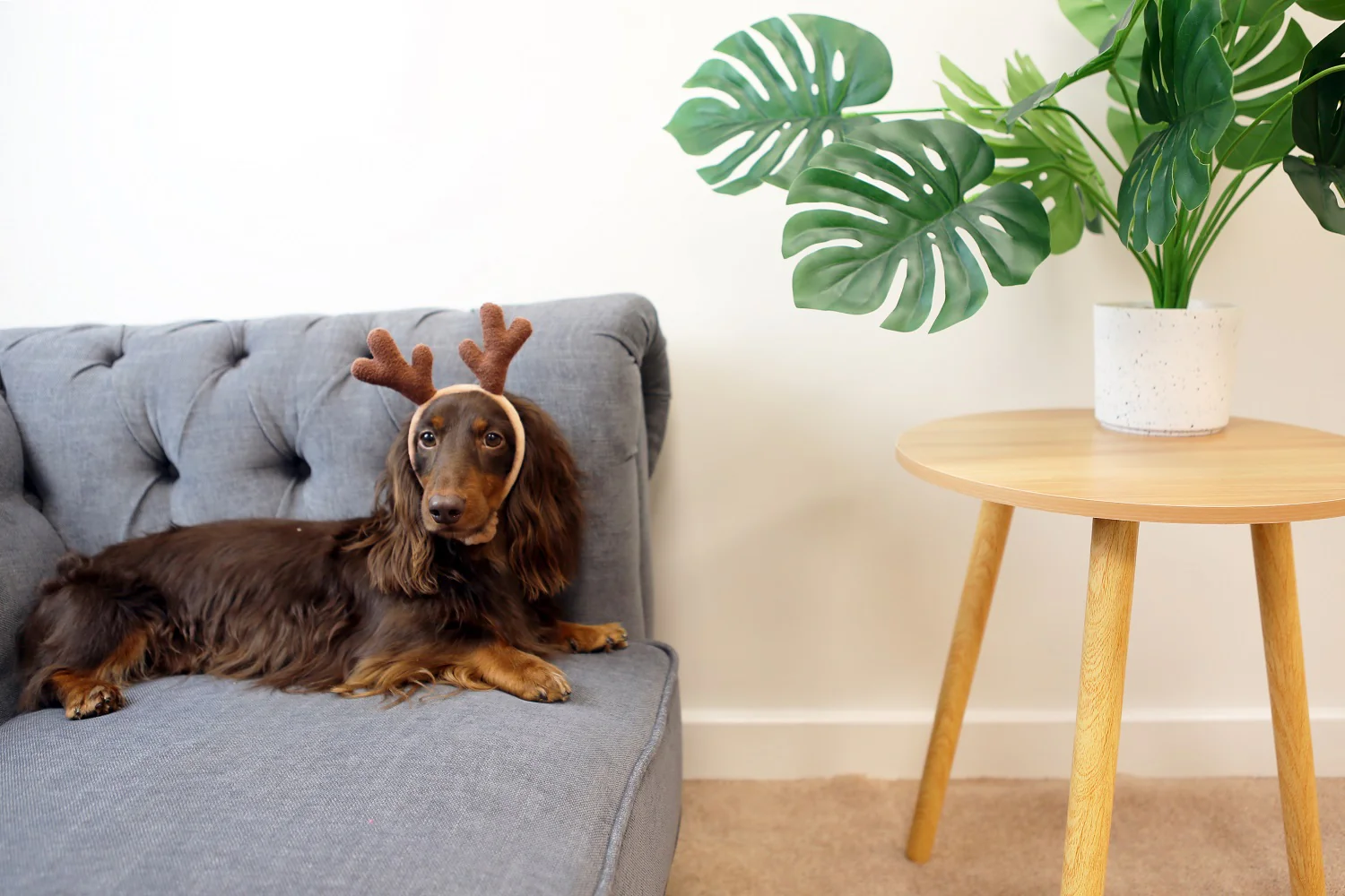 Reindeer Headband S/M - Image 2