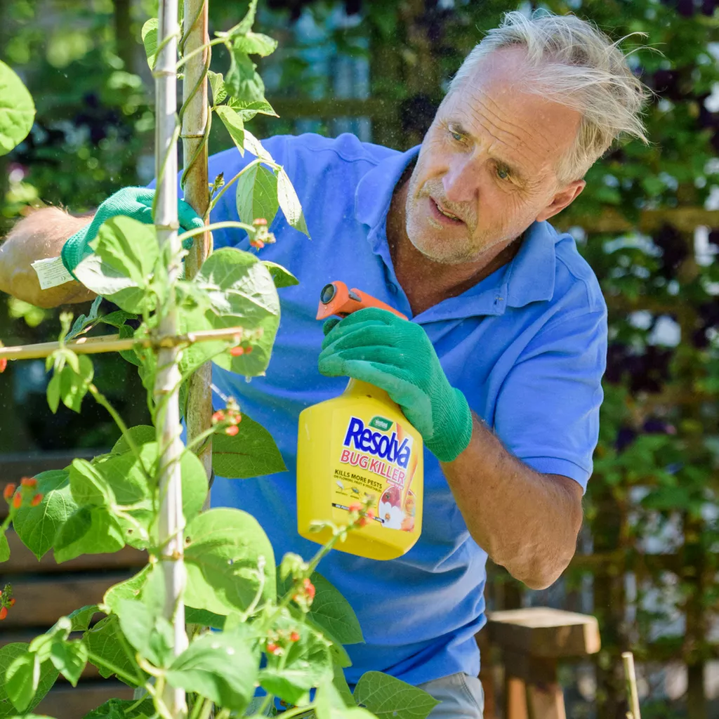 Westland Resolva Bug Killer Ready-To-Use 1L - Image 4