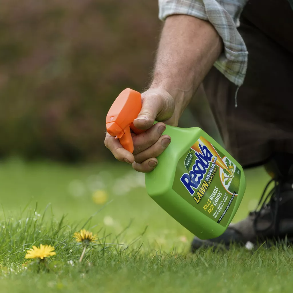 Westland Resolva Lawn Weedkiller Ready-To-Use 1L - Image 3
