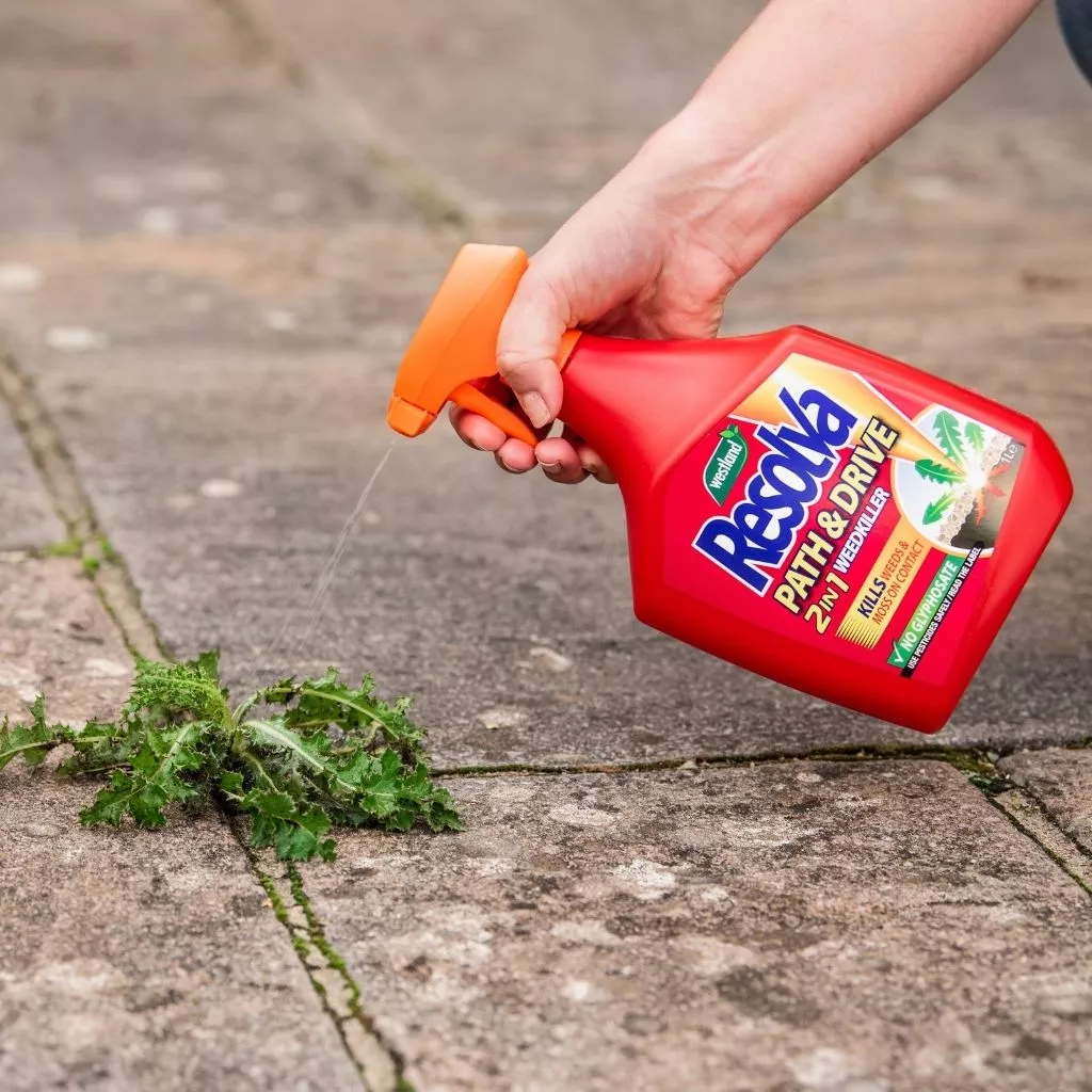 Westland Resolva Path & Drive Weedkiller Ready to Use 1L - Image 4