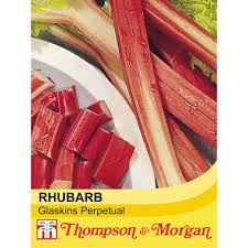 Rhubarb 'Glaskins Perpetual' 60 Seed Pack