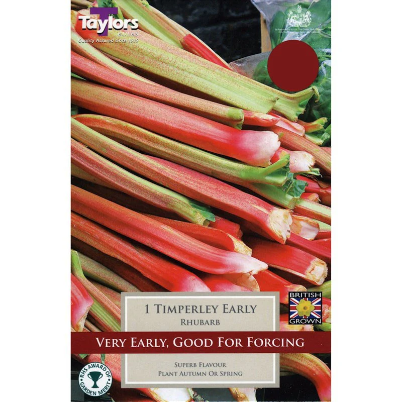 Rhubarb 'Timperley Early' Bulb