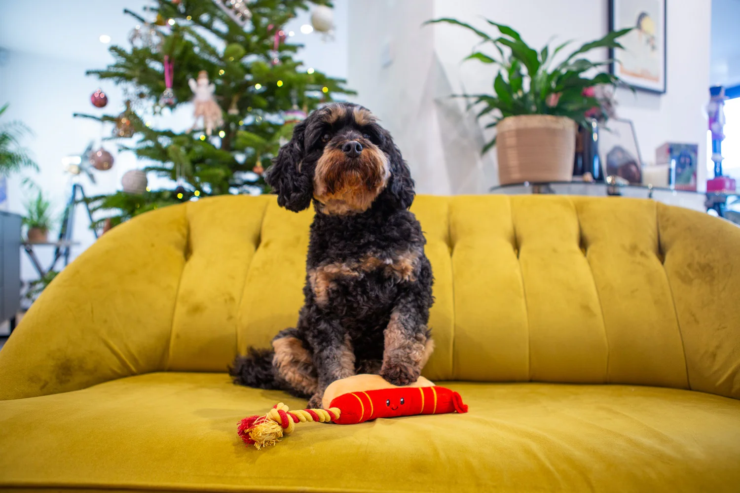 Ropee Hot Dog Dog Toy - Image 2