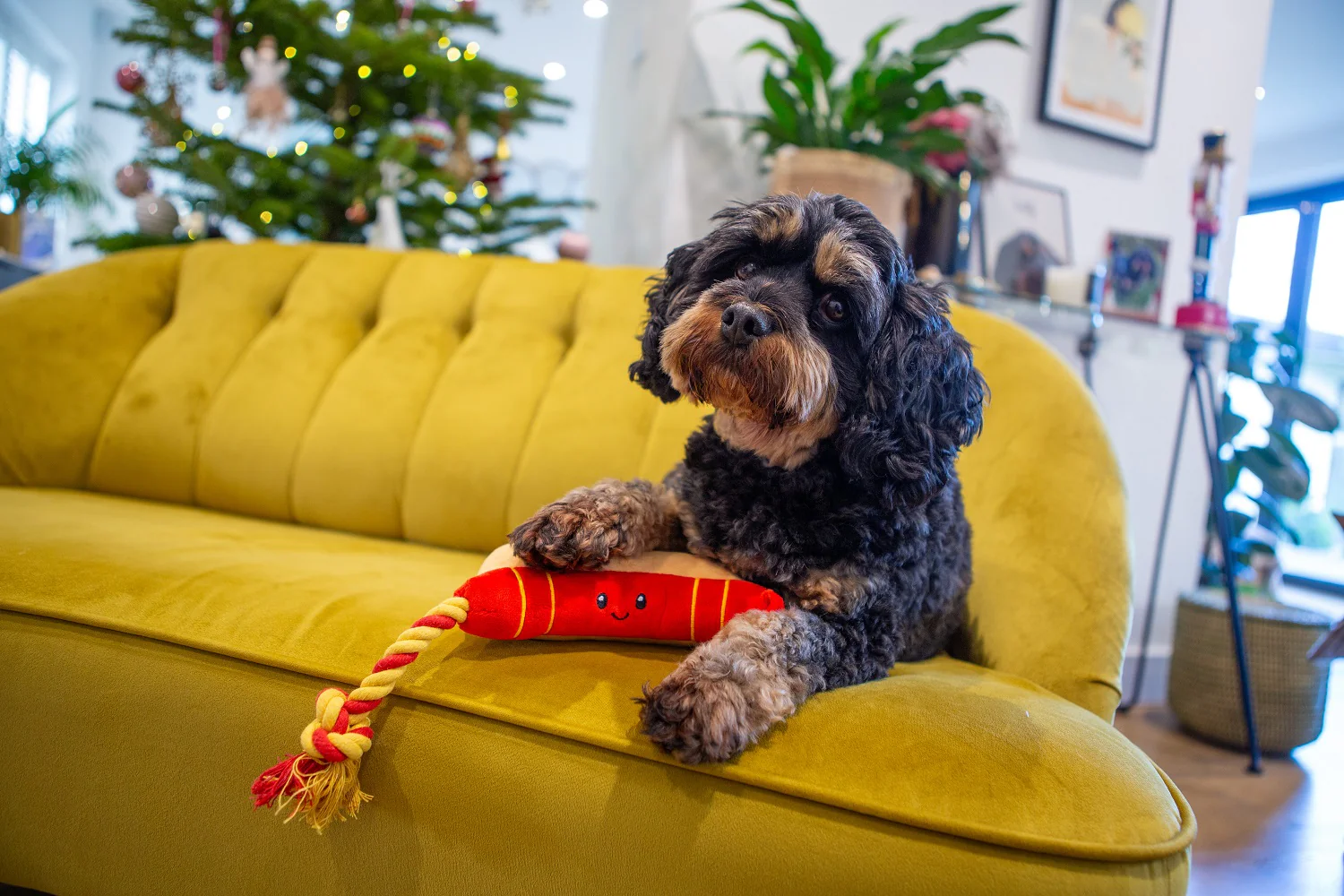 Ropee Hot Dog Dog Toy - Image 3