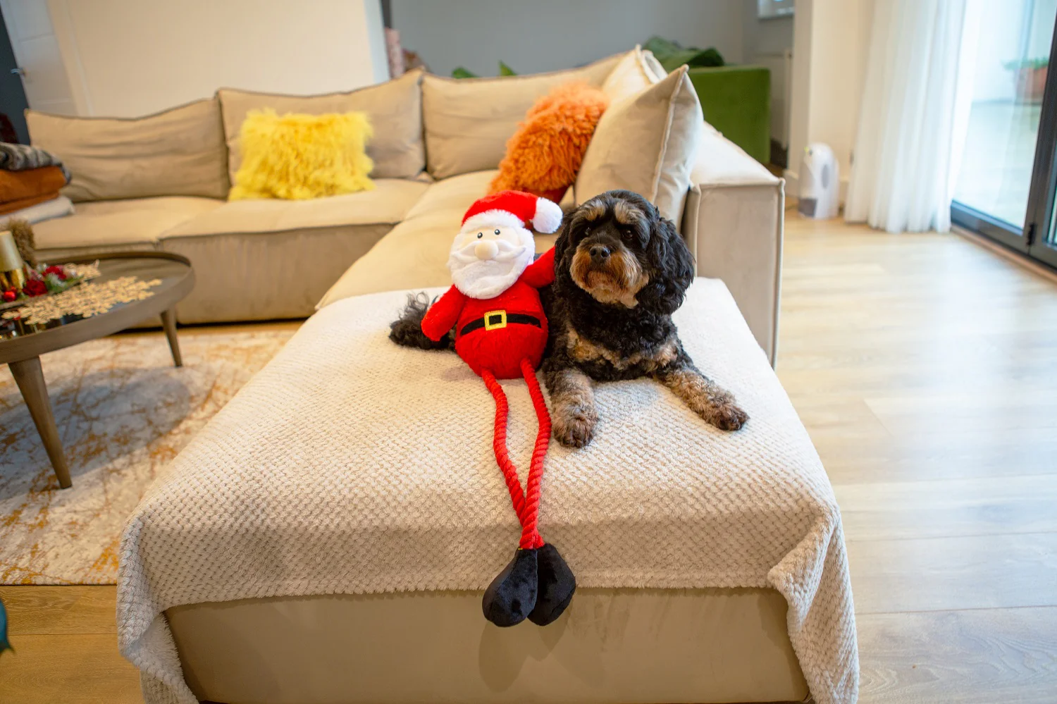 Ropee Long Legs Santa Dog Toy - Image 2