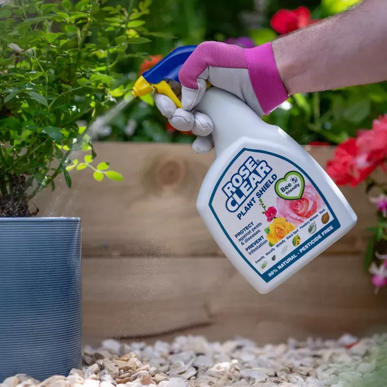 RoseClear Organic Plant Shield (Ready To Use Spray) 800ml - Image 3
