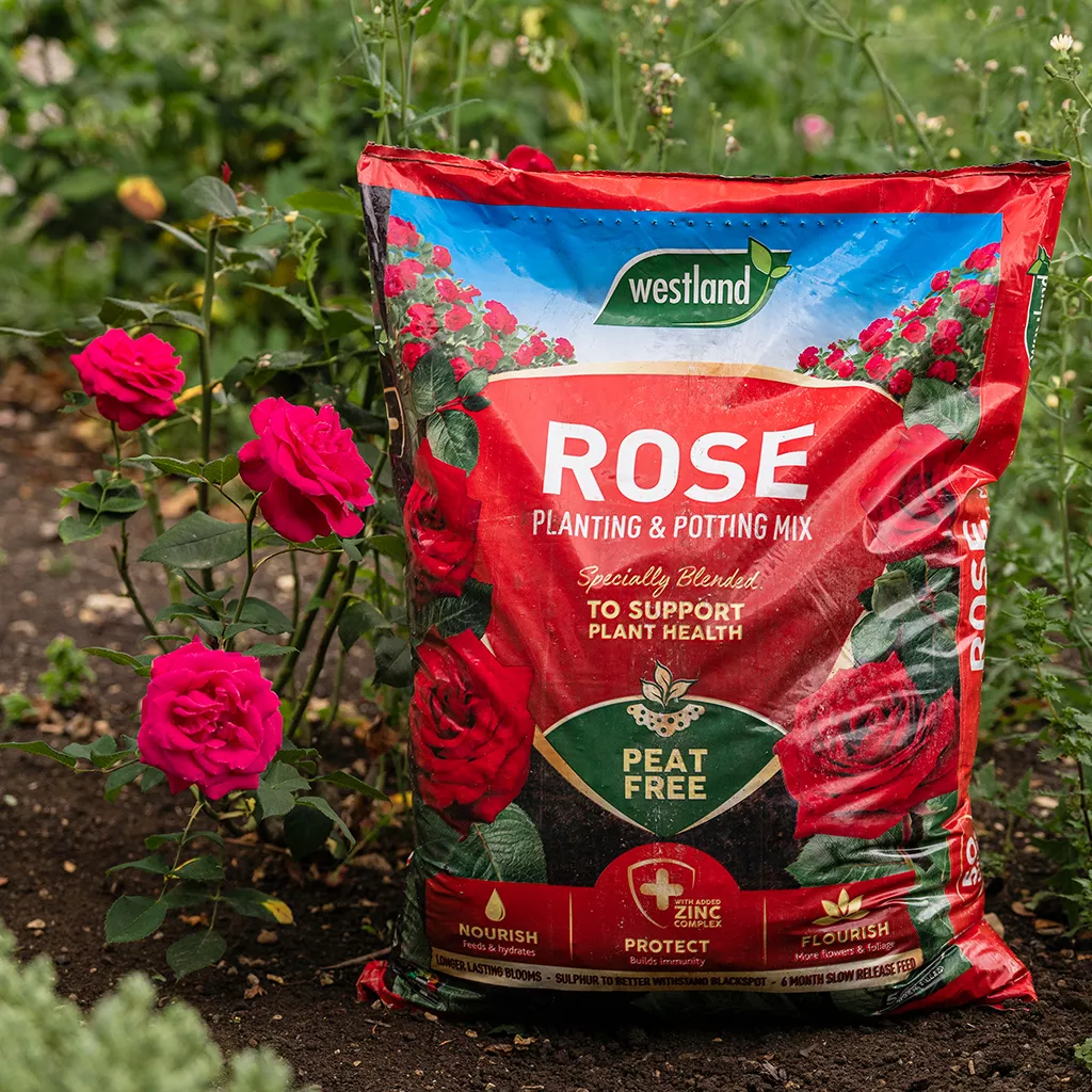 Westland Rose Planting & Pot Mix Peat Free 50 Litre - Image 3