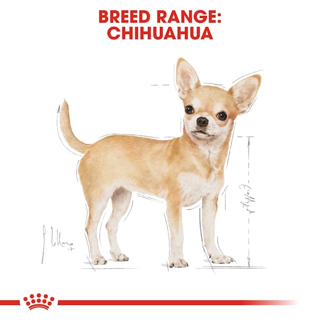 Royal Canin Adult Chihuahua Wet 85g - Image 2
