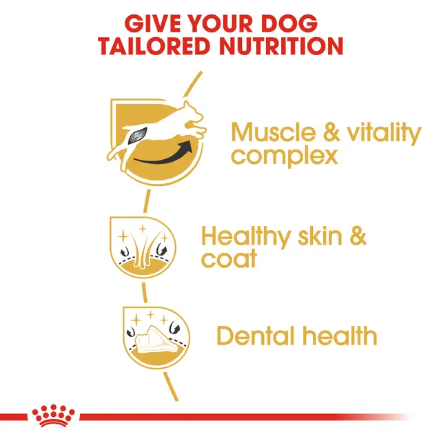 Royal Canin Jack Russell Adult Dry Dog Food 3kg - Image 4