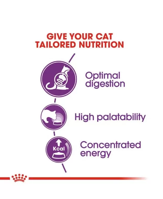 Royal Canin Sensible 33 Cat Food 2kg - Image 3