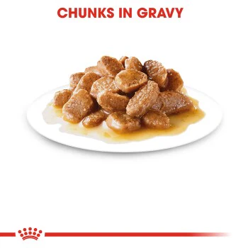 Royal Canin Mini Adult In Gravy Pouch 85g - Image 3