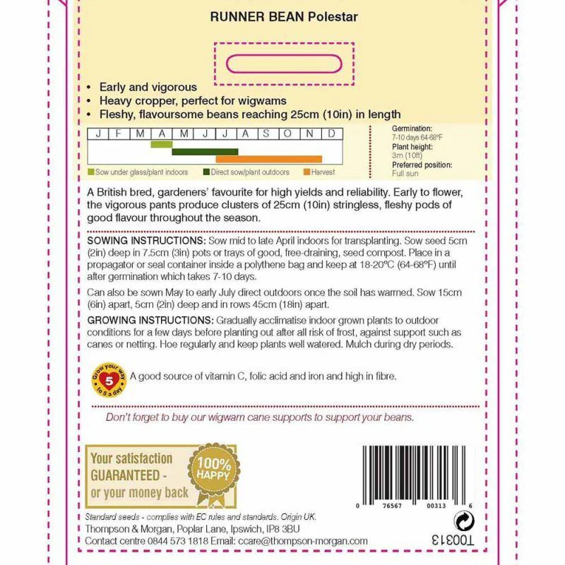 Runner Bean Polestar - Image 4