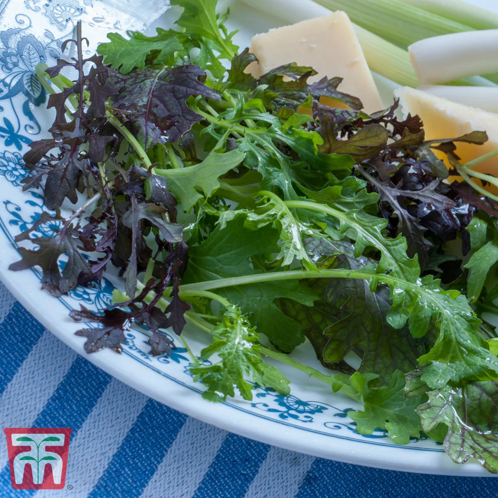 Salad Leaves Oriental Mustards - Image 3