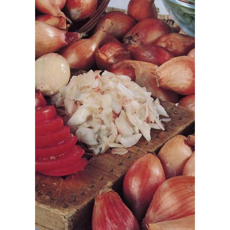 Shallot Mikor