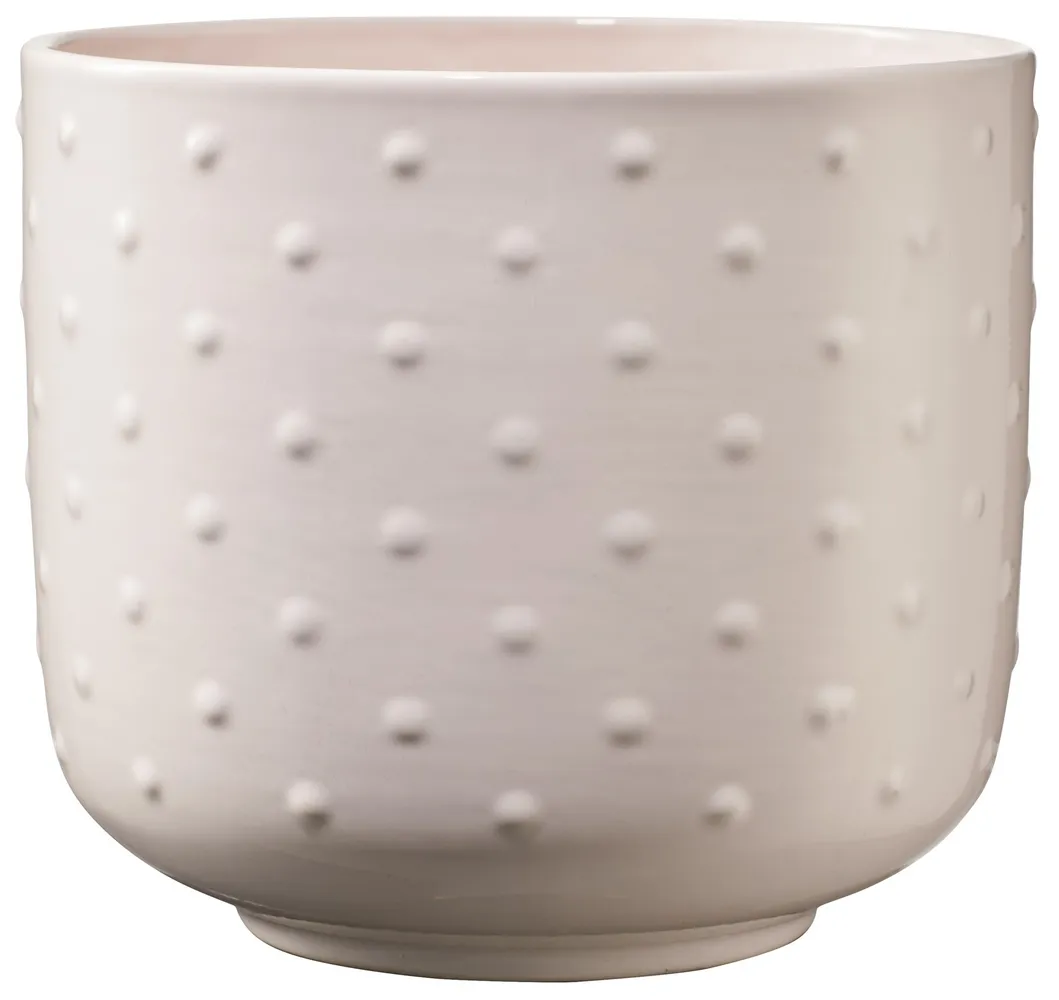 Indoor Pot Baku Pearl Cream Rose D13Cm X H12Cm