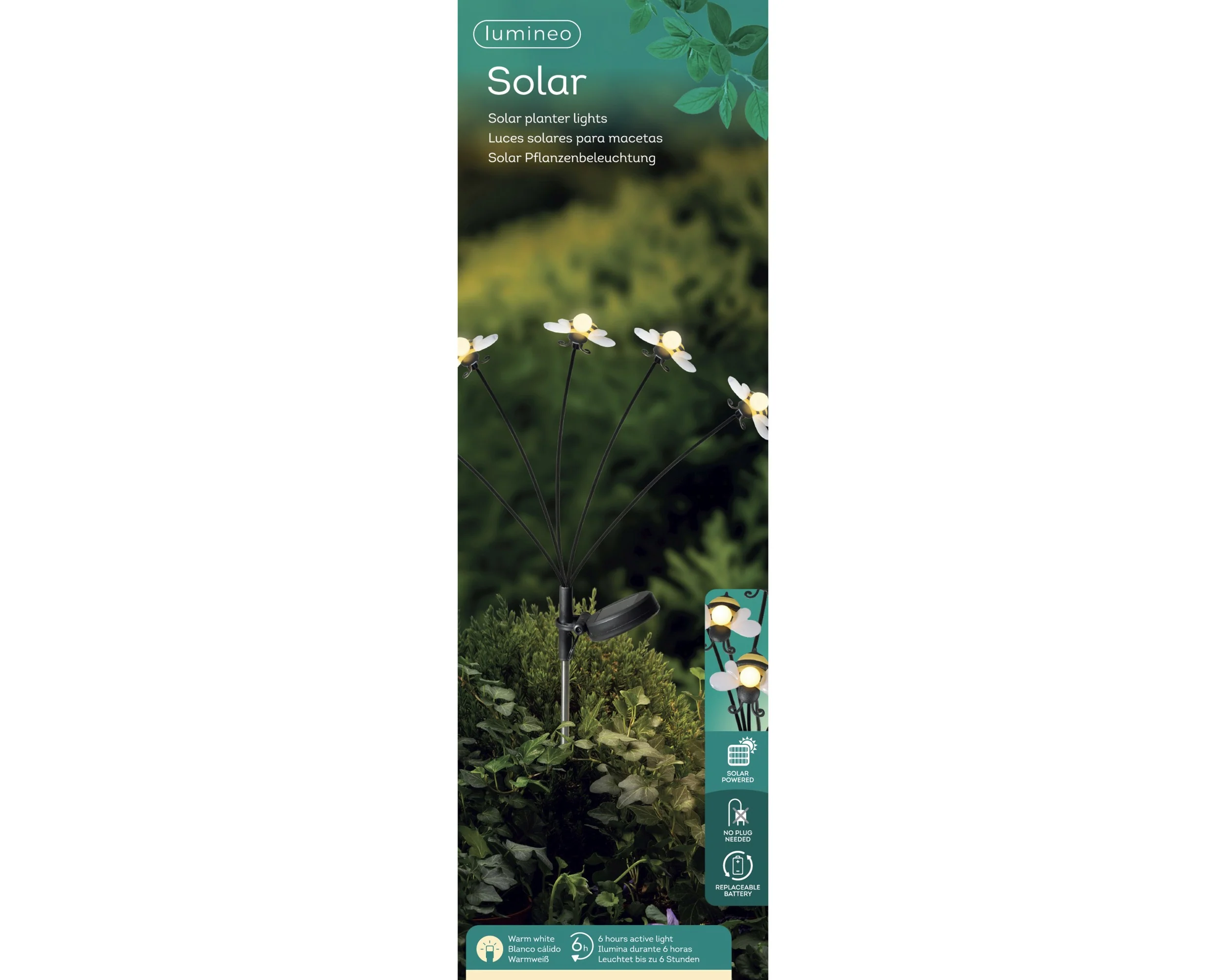 Solar bee - Image 2